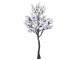 Rozkvetlý strom Magnolie - 190*190*350