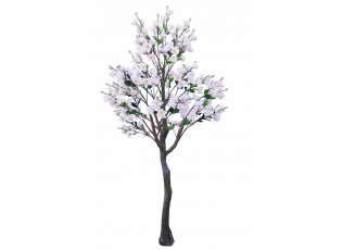 Rozkvetlý strom Magnolie - 190*190*350