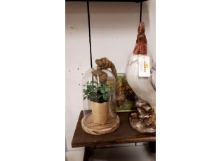 Dřevěný podnos se skleněným krytem - 19*17*28 cm