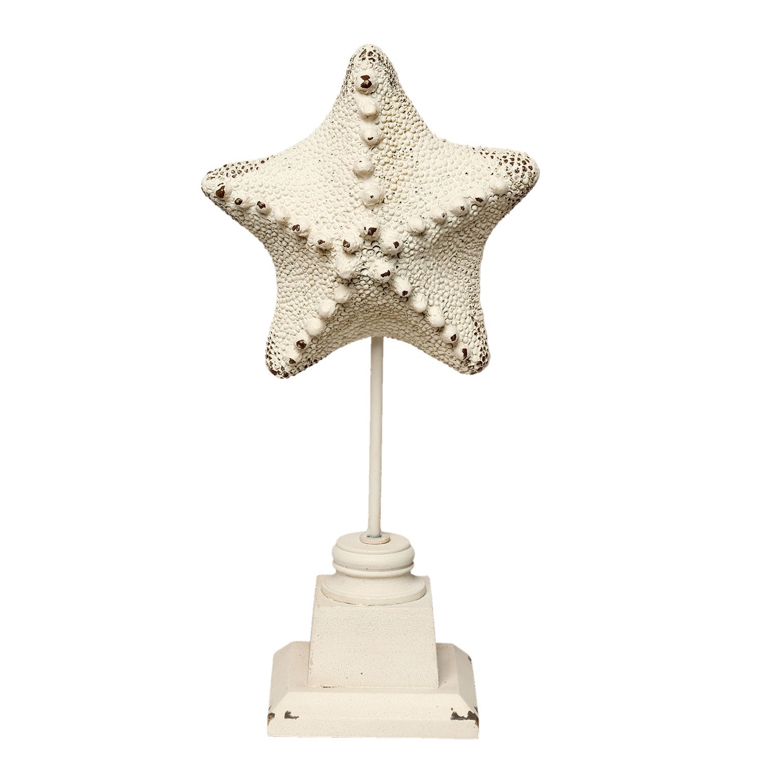 Dekorace mořská hvězdice - 15*9*32 cm Clayre & Eef