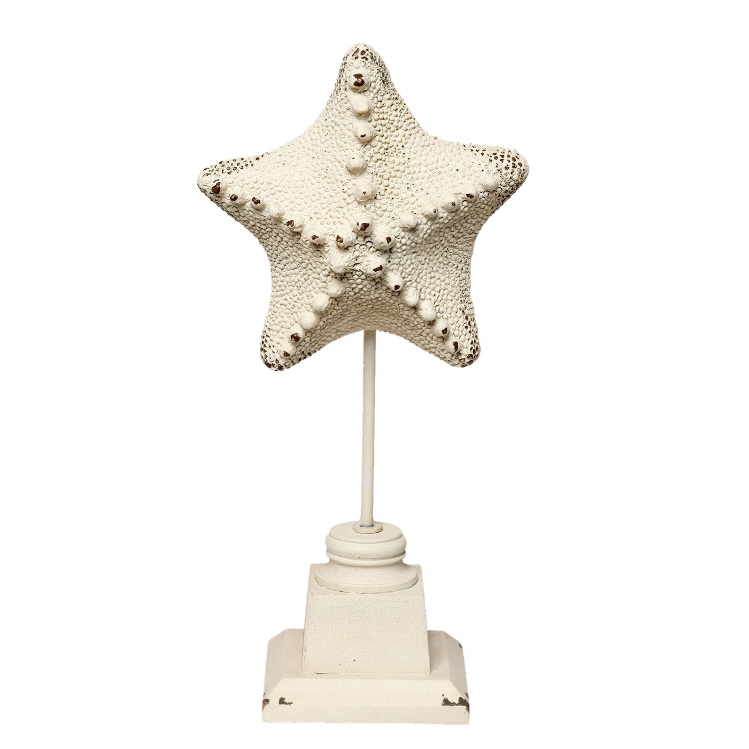 Dekorace mořská hvězdice - 15*9*32 cm