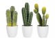 Sada 3 kaktusů v květináčích - Ø 11*26cm
