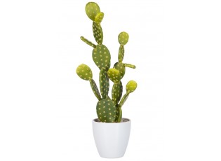 Okrasný kaktus v květináči - 18*14*53cm