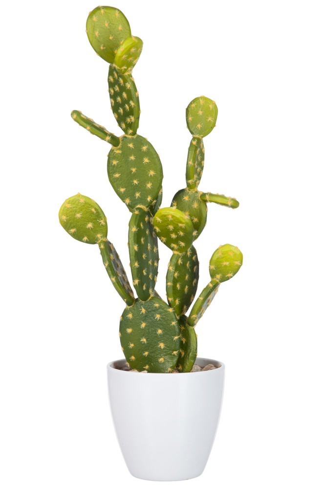 Okrasný kaktus v květináči - 18*14*53cm J-Line by Jolipa