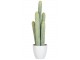 Okrasný kaktus v květináči - 16*14*54cm