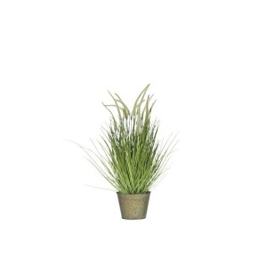 Okrasná tráva v květináči - Ø52*81cm