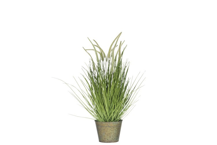 Okrasná tráva v květináči - Ø52*81cm