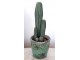 Okrasný kaktus v květináči - Ø15*43cm