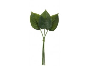 3 okrasné listy Philodendron I - 30cm