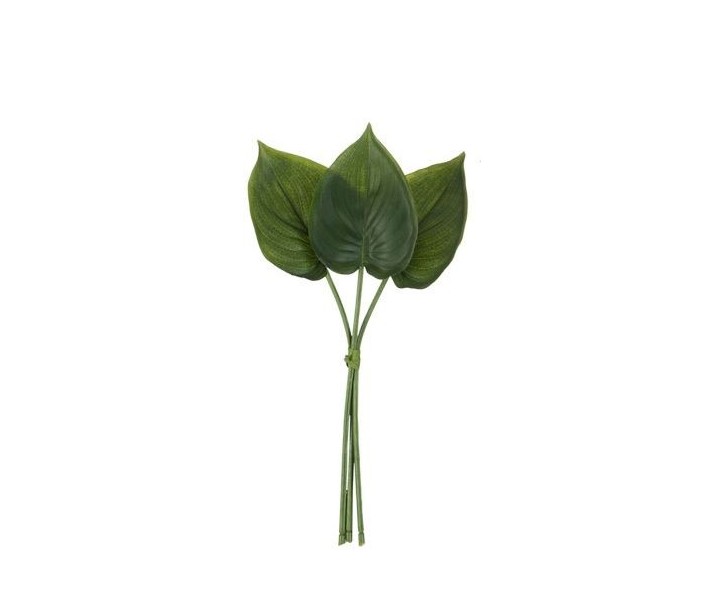 3 okrasné listy Philodendron I - 30cm