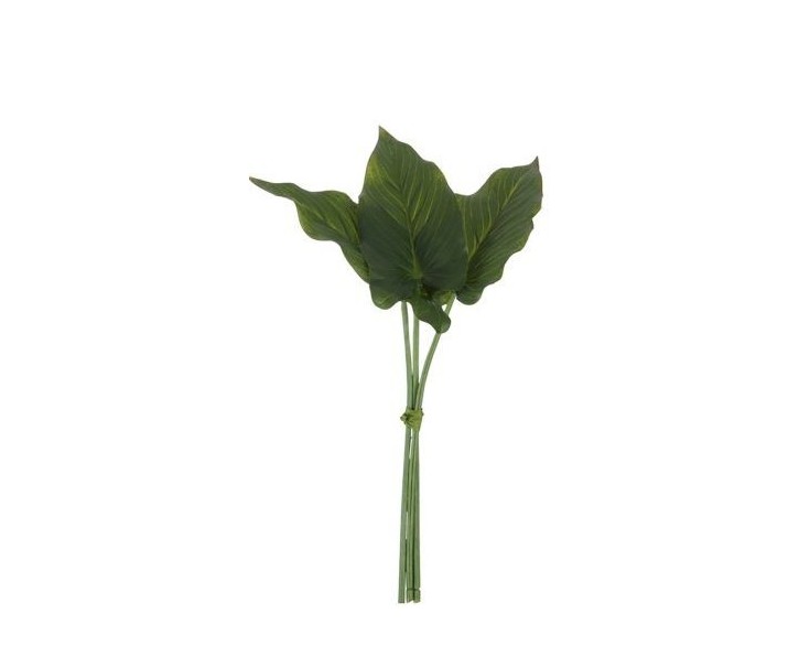 3 okrasné listy Philodendron II - 30cm