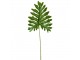 Okrasný list Philodendron - 34*80cm