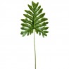 Okrasný list Philodendron - 34*80cm