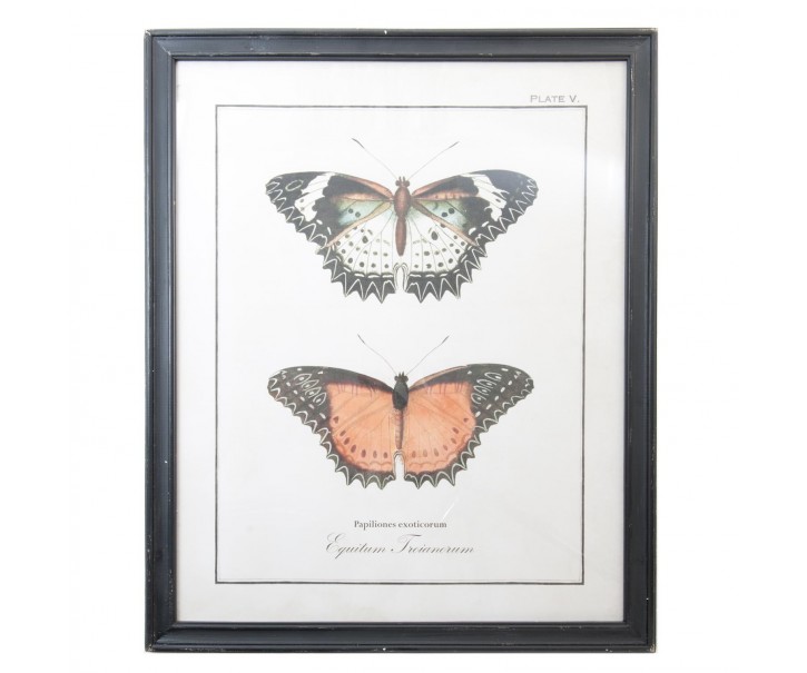 Nástěnný obraz motýli - 65*2*80 cm