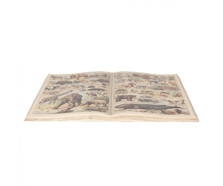 Dekorační obraz otevřená kniha se zvířaty - 65*40 cm