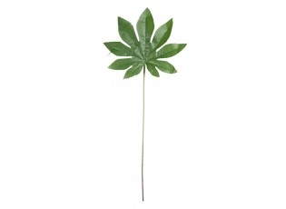 Okrasný list Papaya - 8*1*10 cm