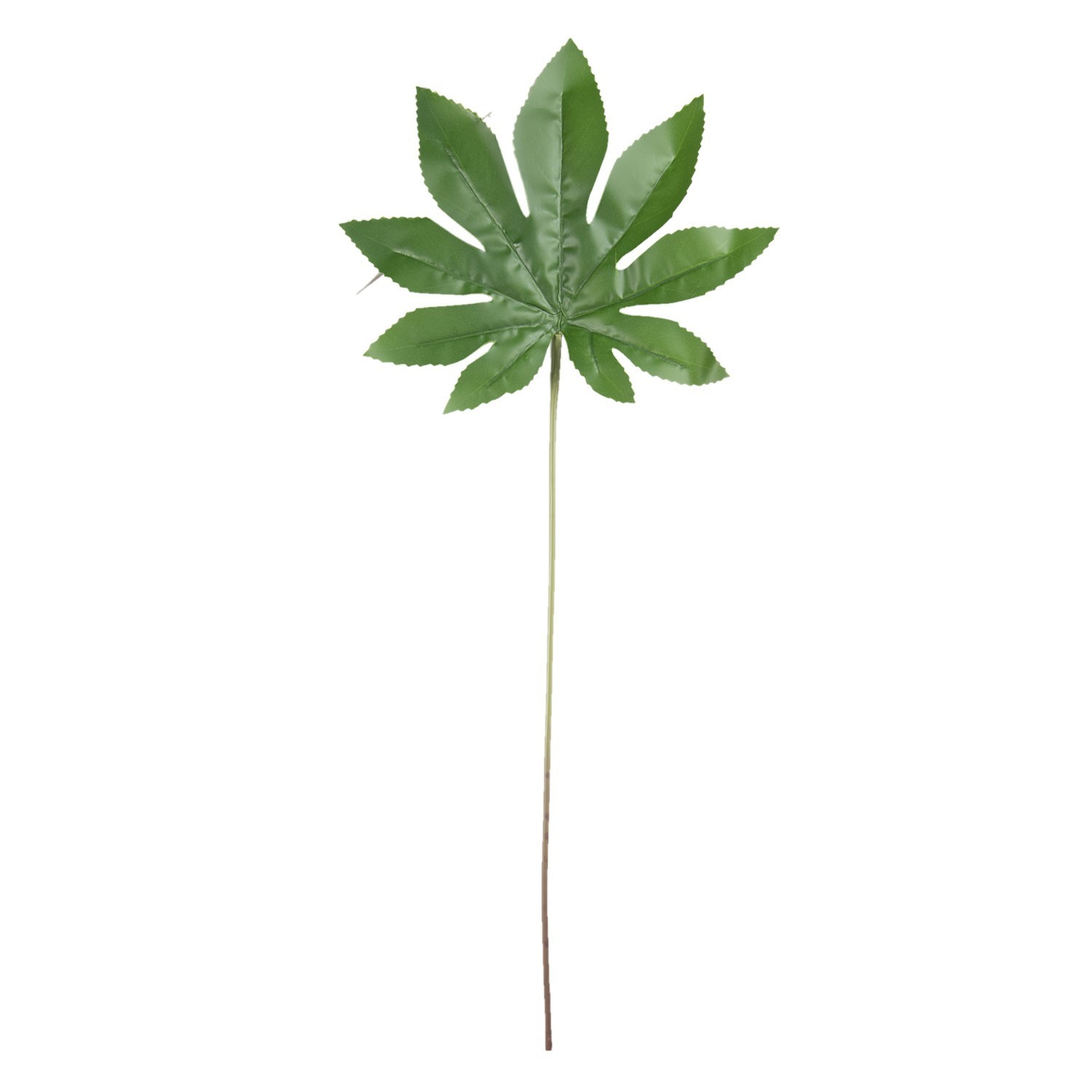 Okrasný list Papaya - 8*1*10 cm Clayre & Eef