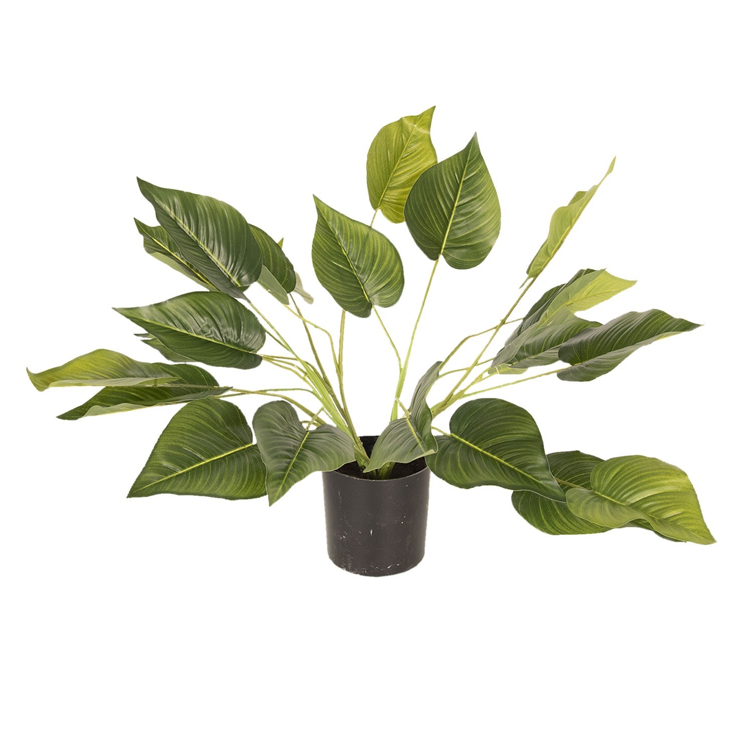 Dekorační pokojová rostlina - 46 cm Clayre & Eef