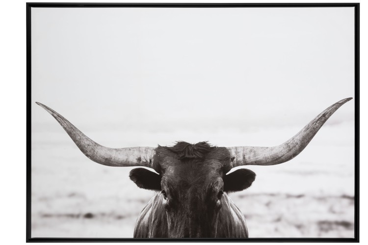 Levně Obraz černo-bílá fotografie Bull - 104*144*4,3 cm 97033