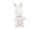 Bílý plyšový králík se srdíčkem - 15*10*15 cm