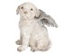 Dekorace pes s křídly - 16*13*20 cm