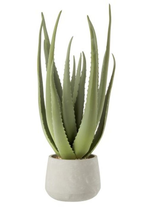 Umělá Aloe v květináči - 40*54 cm J-Line by Jolipa