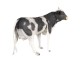 Dekorativní soška krávy - 60*25*50 cm