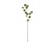 Zelená kytička Honesty - 68cm