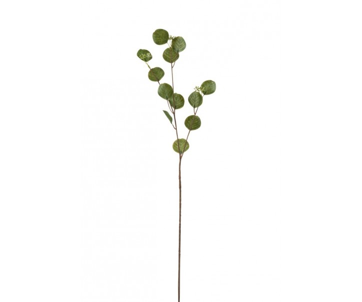 Zelená kytička Honesty - 68cm
