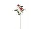 Růžová kytička Clematis -61cm