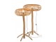 Přírodní ratanová stojací lampa Teak - 77*70*134cm