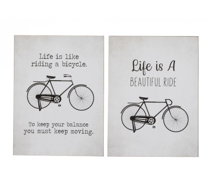 2 nástěnné kovové cedule Bicycle - 37*0,5*49,5 cm 