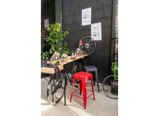 2 nástěnné kovové cedule Bicycle - 37*0,5*49,5 cm 