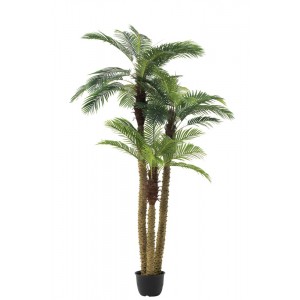 Okrasná trojitá palma v květináči Palm - Ø180*300cm