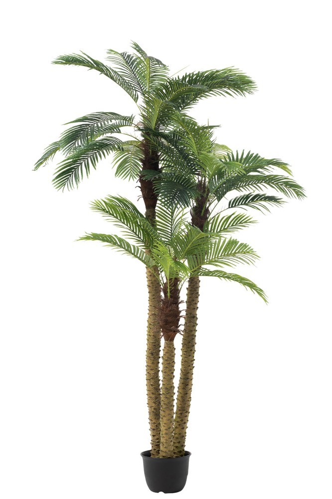 Okrasná trojitá palma v květináči Palm - Ø180*300cm