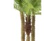 Okrasná trojitá palma v květináči Palm - Ø180*300cm