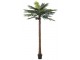 Okrasná palma v květináči Palm - Ø190*350cm