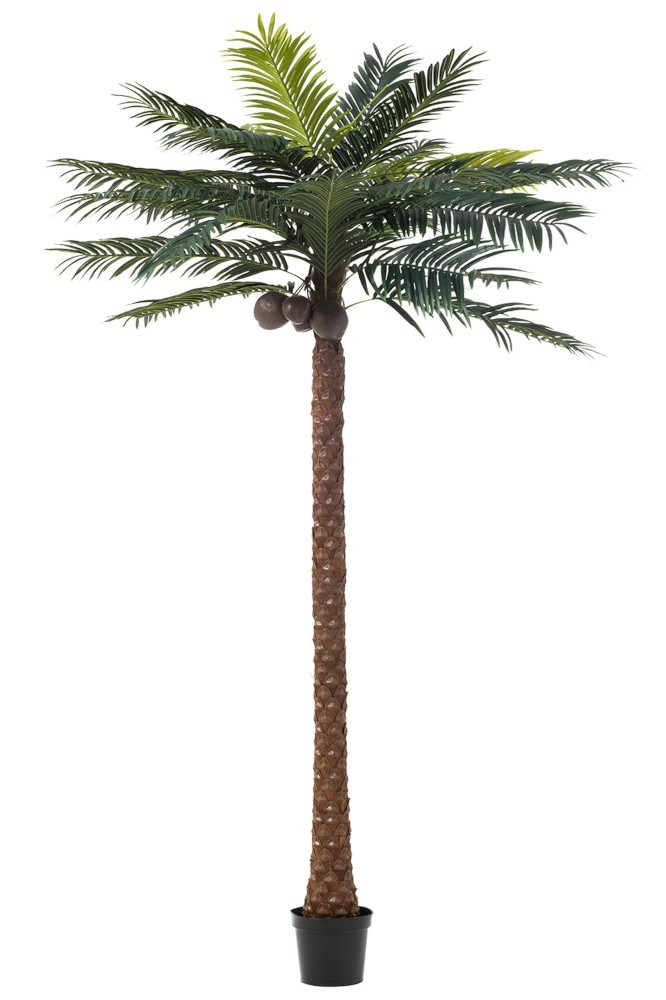 Okrasná palma v květináči Palm - Ø190*350cm J-Line by Jolipa