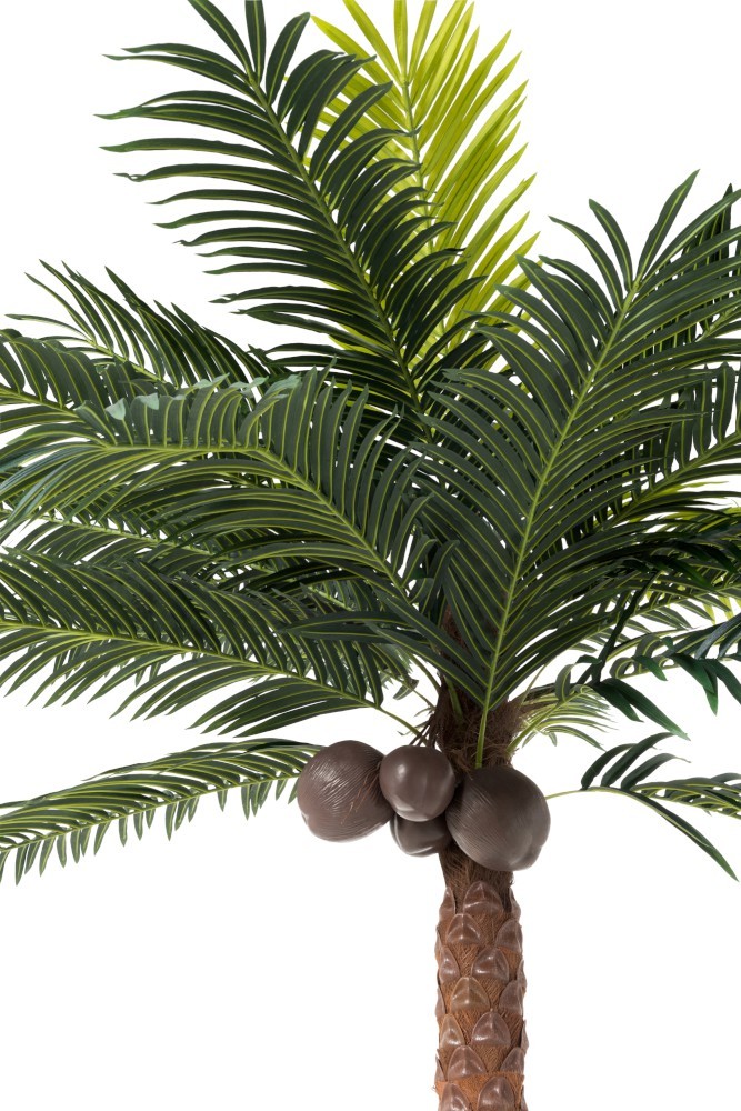 Okrasná palma v květináči Palm - Ø190*350cm