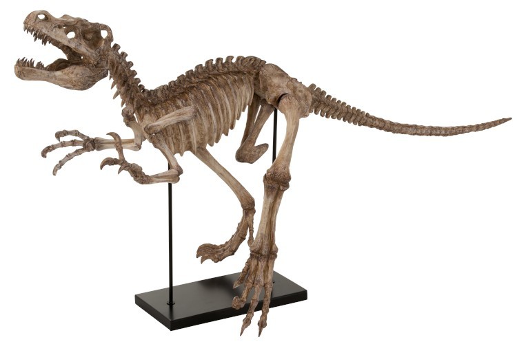 Levně Dekorace dinosaurus Raptor na kovové noze - 145*59*81,5 cm 2384