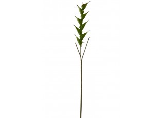 Zelená květina Heliconia - 141cm