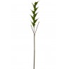 Zelená květina Heliconia - 141cm