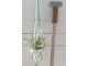 Sada 3ks dřevěných dekoračních pádel - 12*3*65 cm