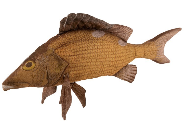 Hnědý polštář ryba Fish Paul - 93*28*40 cm J-Line by Jolipa