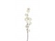 Dekorační umělá větvička s krémovými květy Kersenboom - 77,5 cm