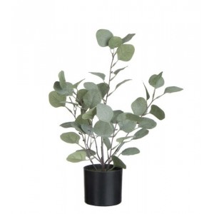 Dekorace Eucalyptus v květináči - Ø12*43cm
