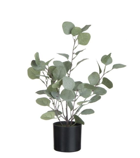 Dekorace Eucalyptus v květináči - Ø12*43cm