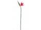Dekorační květina růžová Strelitzia - 107cm