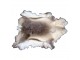 Kožešina Sob polární (rangifer tarandus) - 120*90cm