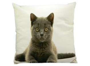 Plátěný polštář Britská kočka 50x50 cm - 50*10*50cm
